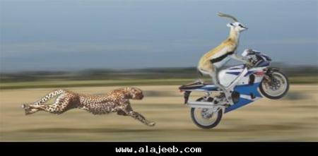 alajeeb